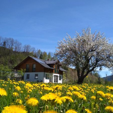 Gaestehaus Blonbauer Apartment Шладминг Екстериор снимка
